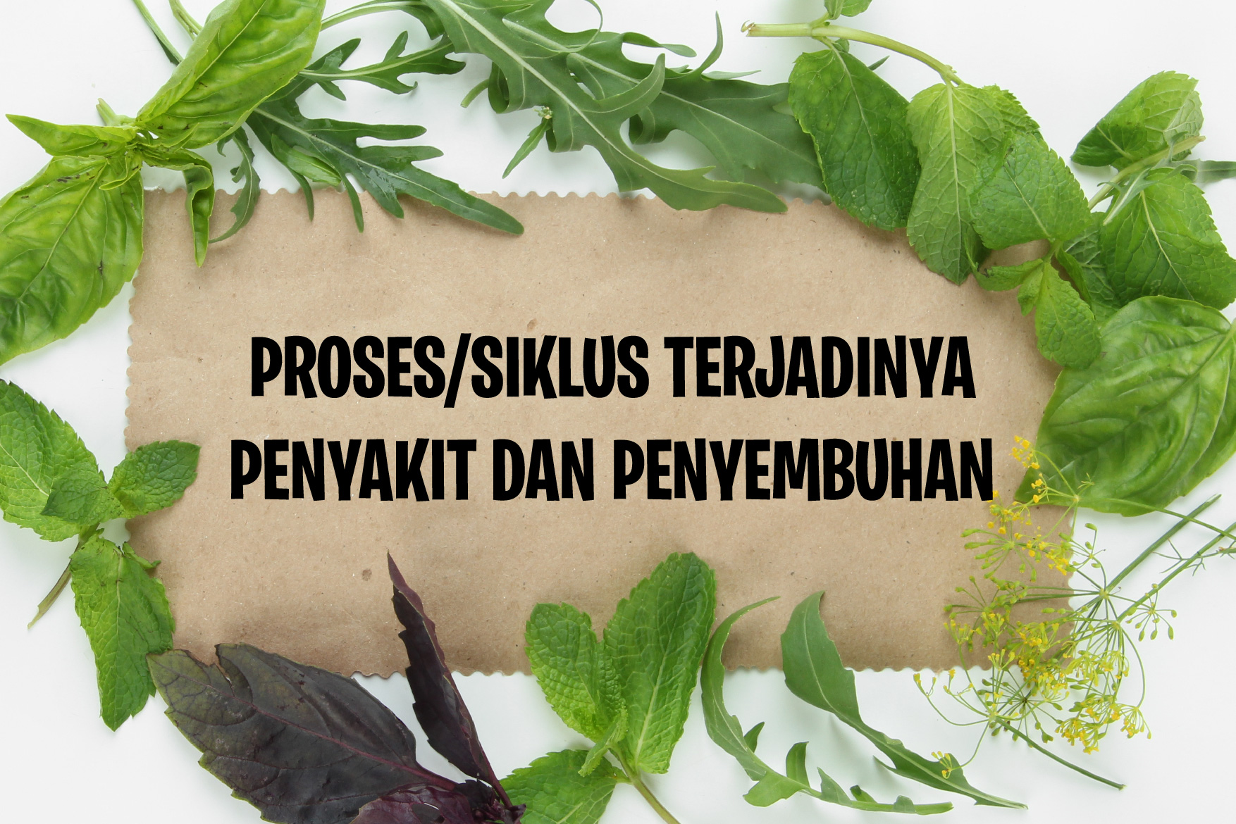 https://haiiherbal.com/storage/images/1747100609_TerjadinyaPenyaktdanPenyembuha-01.jpg
